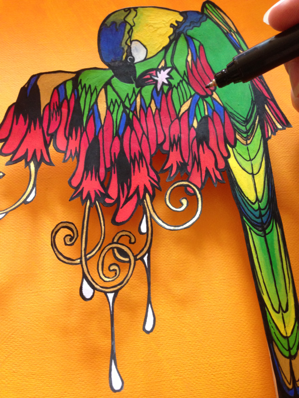Rainbow Lorikeet Illustration Art Parrot Drawing