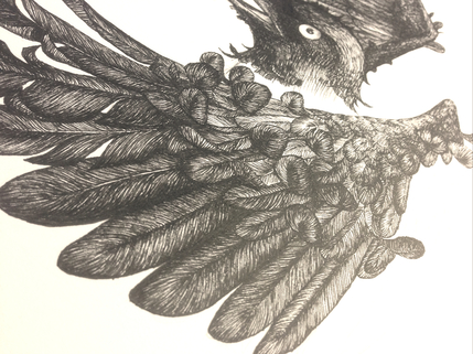 Crow ink Illustration