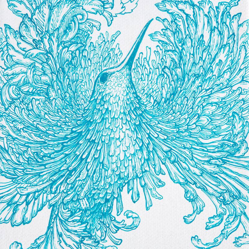 Hummingbird ink drawing - Ruth Cadioli